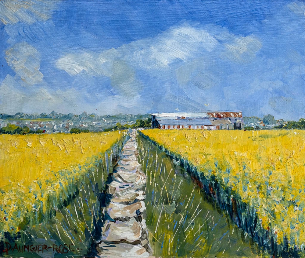 Rusty Barns in The Cotswolds