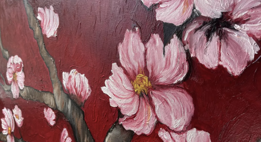 Blooming Cherry Branches