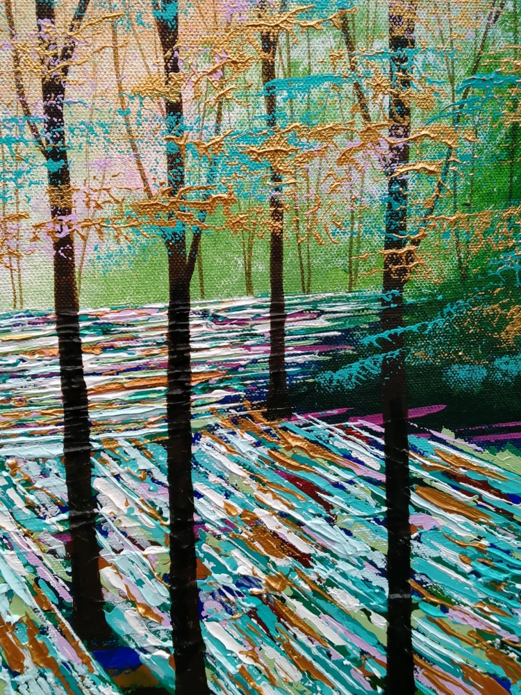 Secret Forest, Shadows and Light