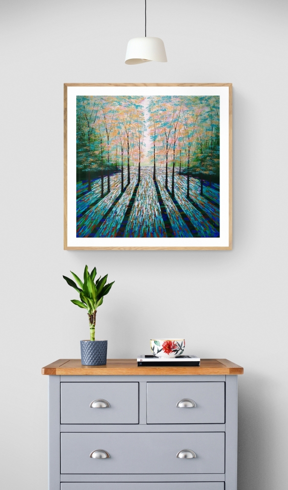 Secret Forest, Shadows and Light