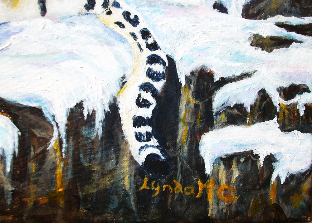 Resting Snow Leopard