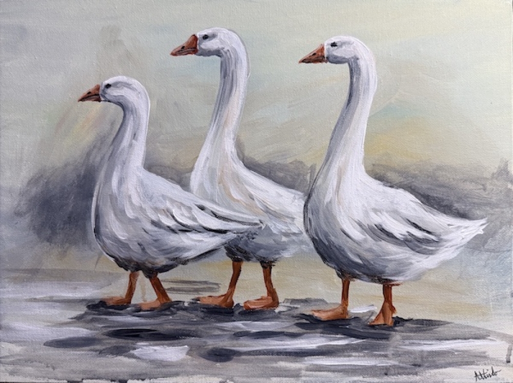 Three Ducks