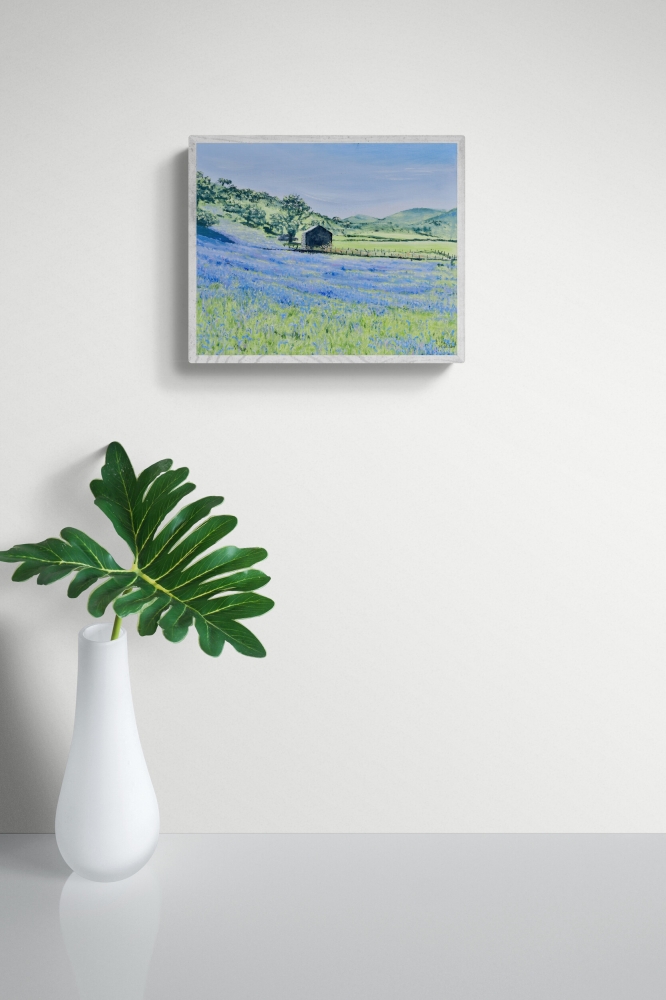 Bluebells, Cwm Pennant