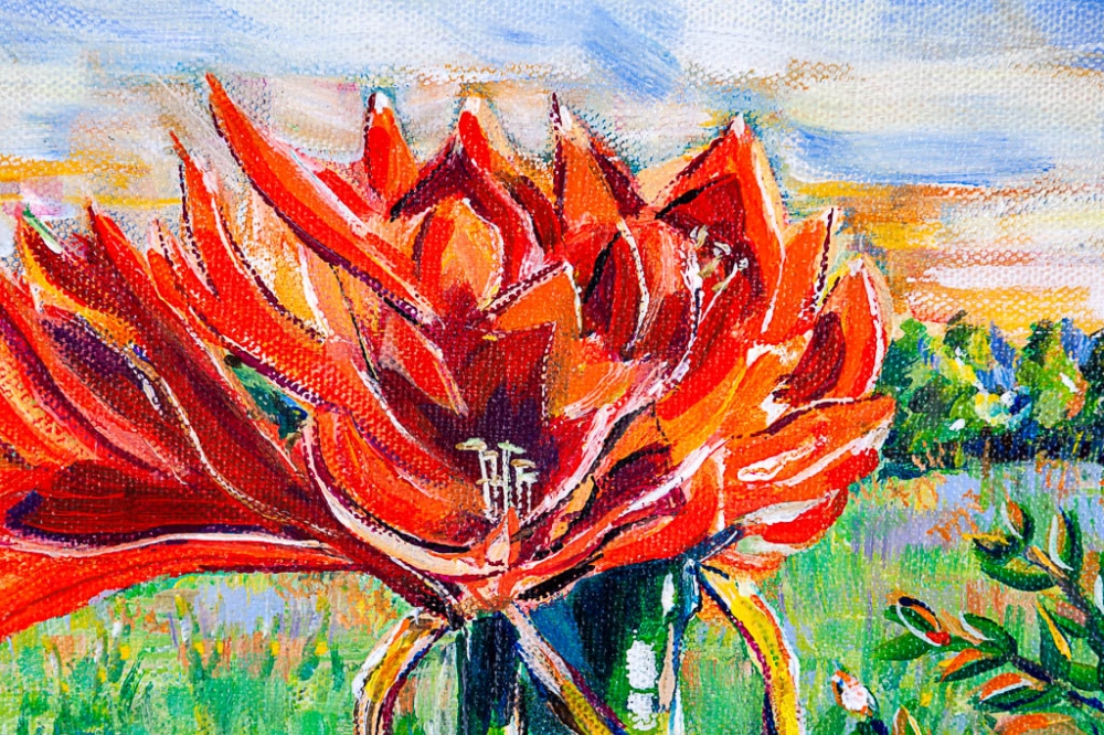 Windowsill Cat With Red Amaryllis