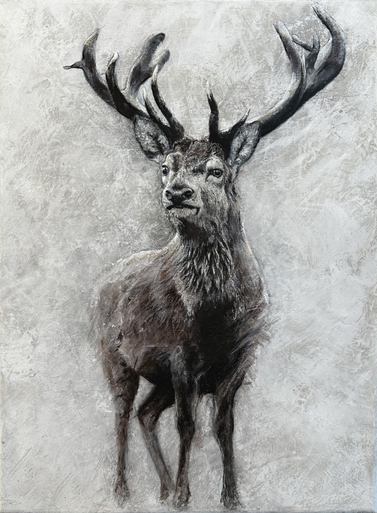 Winter Stag – Original Deer