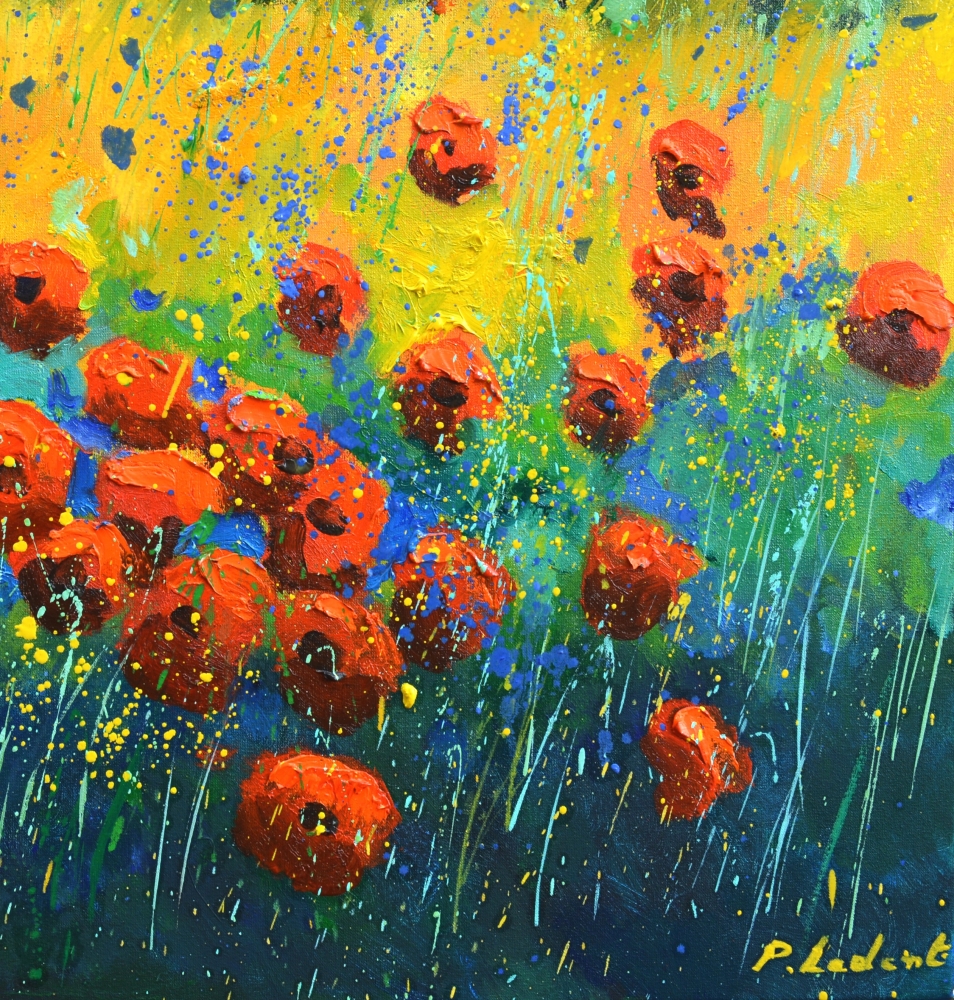 Red poppies 