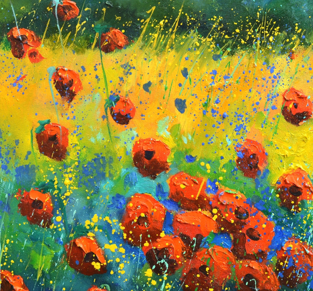 Red poppies 