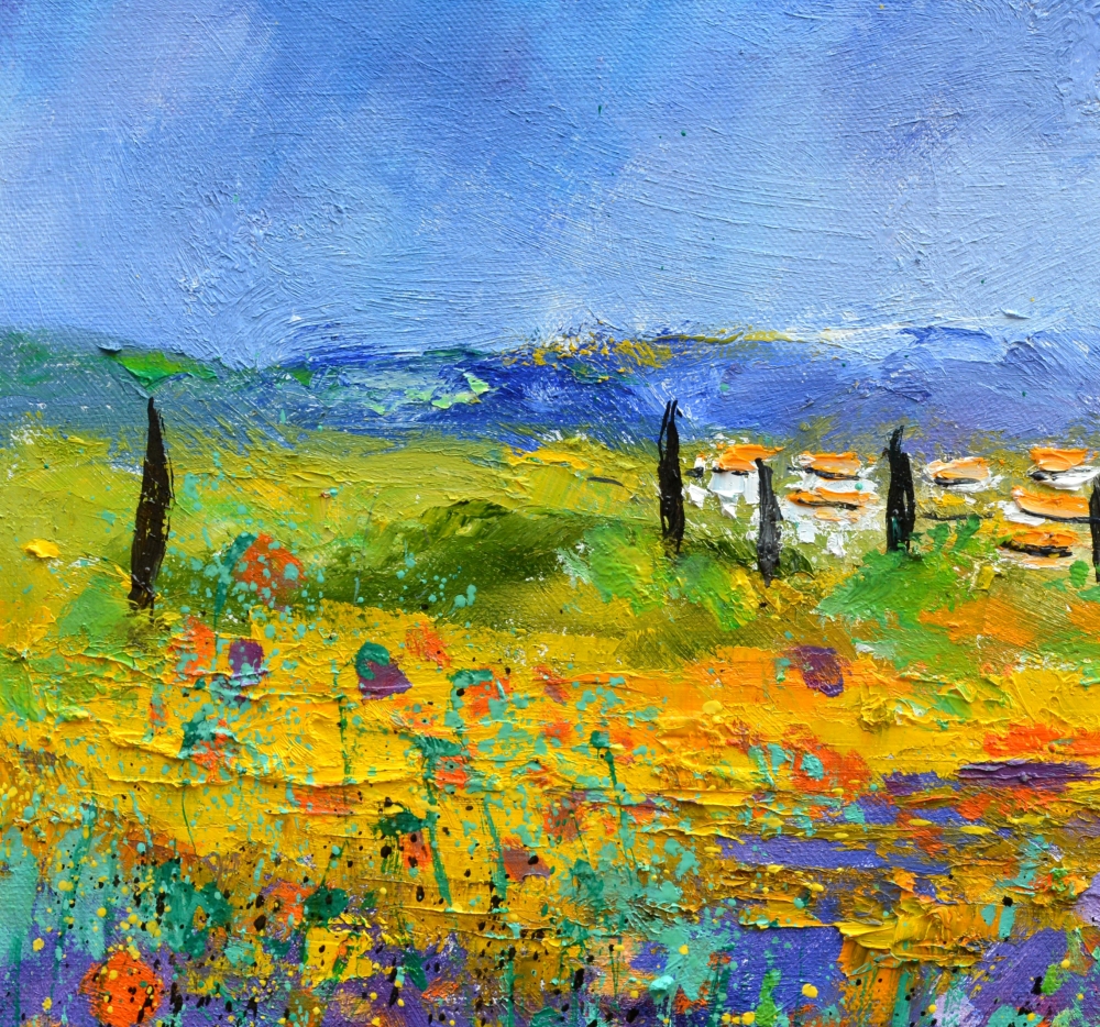 poppies in provence