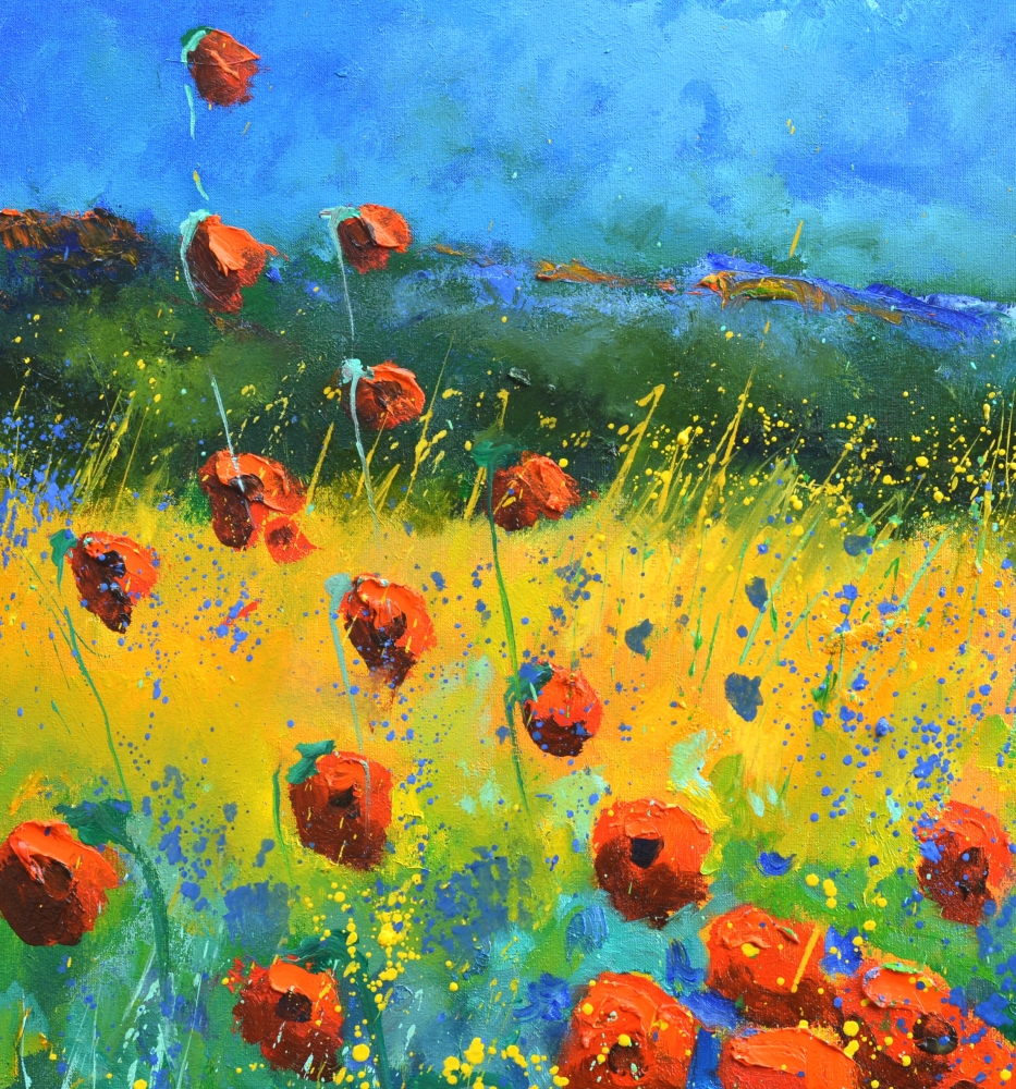 Red poppies 