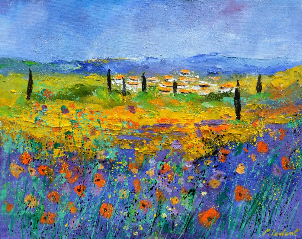 poppies in provence
