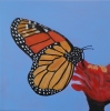 Monarch butterfly