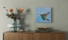 Hummingbird 