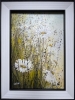 Daisy Daisy Flowers Pair Landscape Framed