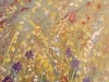 Wild Flower Meadow