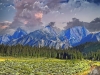 East Tuolune Meadow in Yosemite