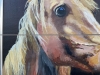 Horse portrait