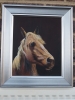 Horse portrait