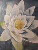 Single white waterlily watercolour 