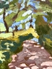 Woodland Path 