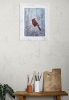 Northern Cardinal winter scene 