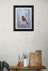 Northern Cardinal winter scene 