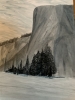 A Yosemite Scene