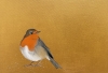Robin Redbreast