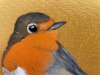 Robin Redbreast