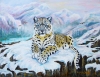 Resting Snow Leopard