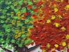 Tree Of Colours