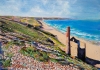 Wheal Coates
