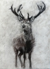 Winter Stag – Original Deer