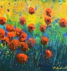 Red poppies 