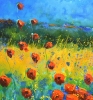 Red poppies 
