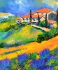 Summer in Provence 