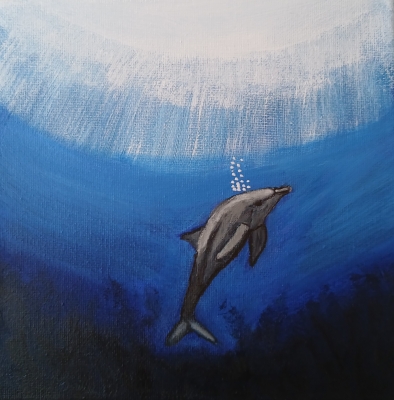 Dolphin blowing bubbles