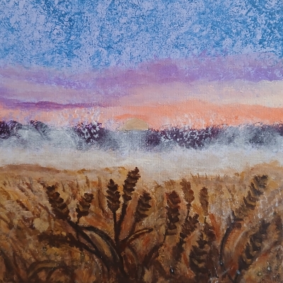 Wheatfield at sunrise