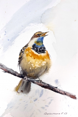 Bird on a branch