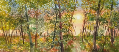 DAWN IN THE WOODS