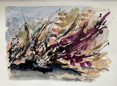 Hedgerow