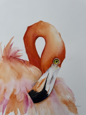 Pretty Flamingo