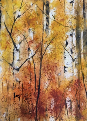Silver Birch Trunks 1