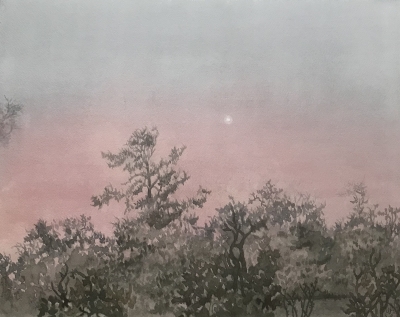 MORNING STAR 