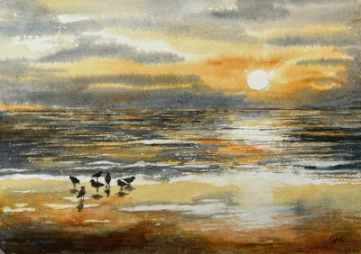 BIRDS ON A BEACH