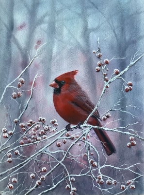 Northern Cardinal winter scene 
