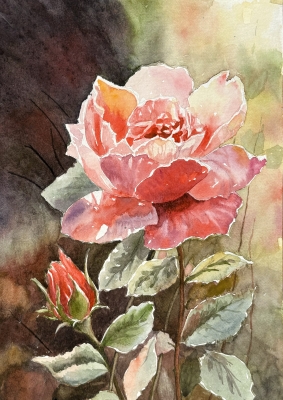 PEACH ROSE AND BUD  