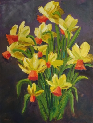 Jetfire Daffodils