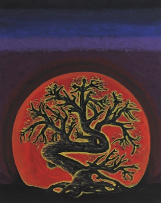 Judas Tree