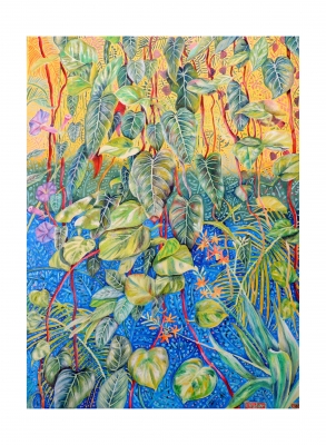 Jungle Tetrachromacy