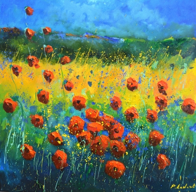 Red poppies 